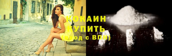 стафф Осташков