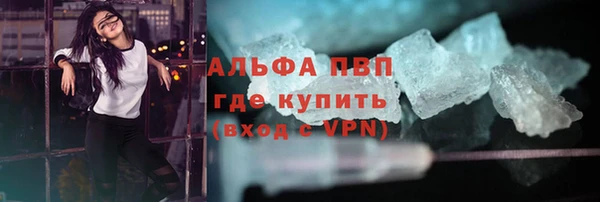 стафф Осташков