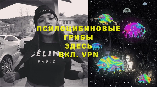стафф Осташков