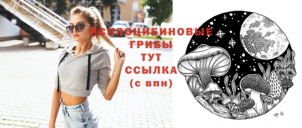 стафф Осташков