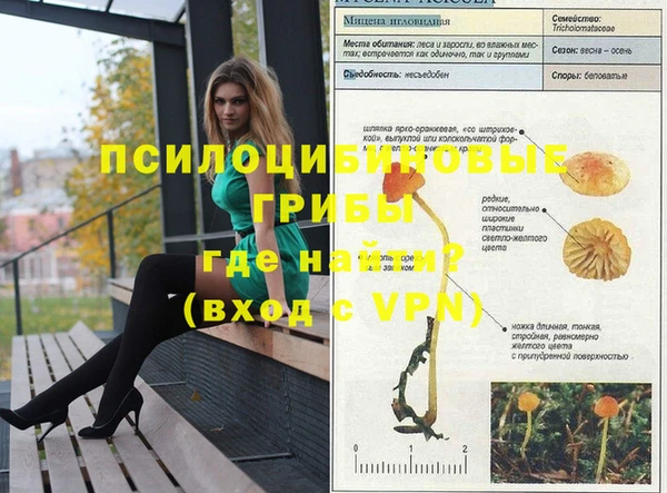 эйфоретик Осинники