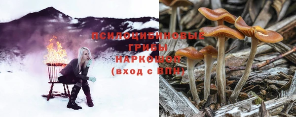 стафф Осташков