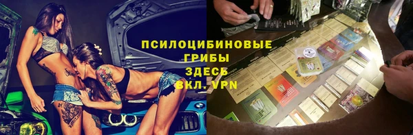 эйфоретик Осинники