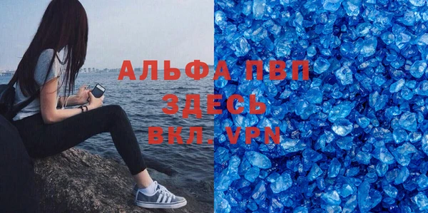 стафф Осташков