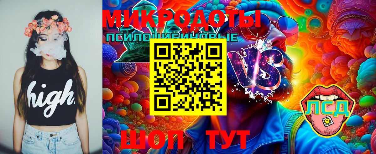 Сафоново  Псилоцибиновые грибы Psilocybine cubensis  Вход с VPN 