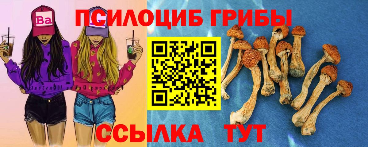 Галлюциногенные грибы Cubensis Сафоново